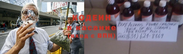 трава Арсеньев