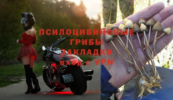 трава Арсеньев