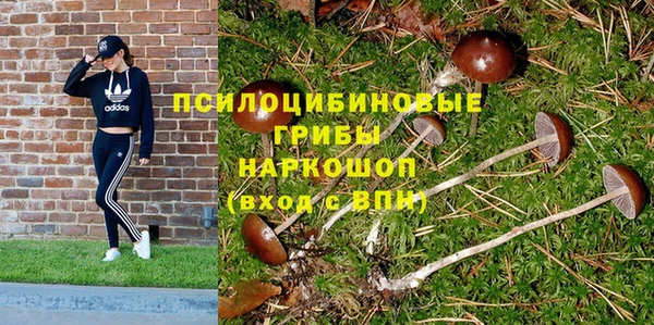 MDMA Аркадак