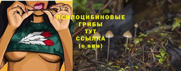 эйфоретик Армянск