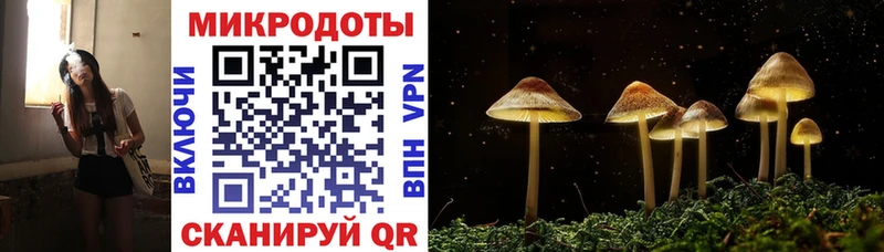 Псилоцибиновые грибы мухоморы наркота Онега